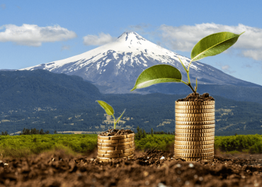 Villarrica: Tu Oportunidad de Inversión en el Sur de Chile